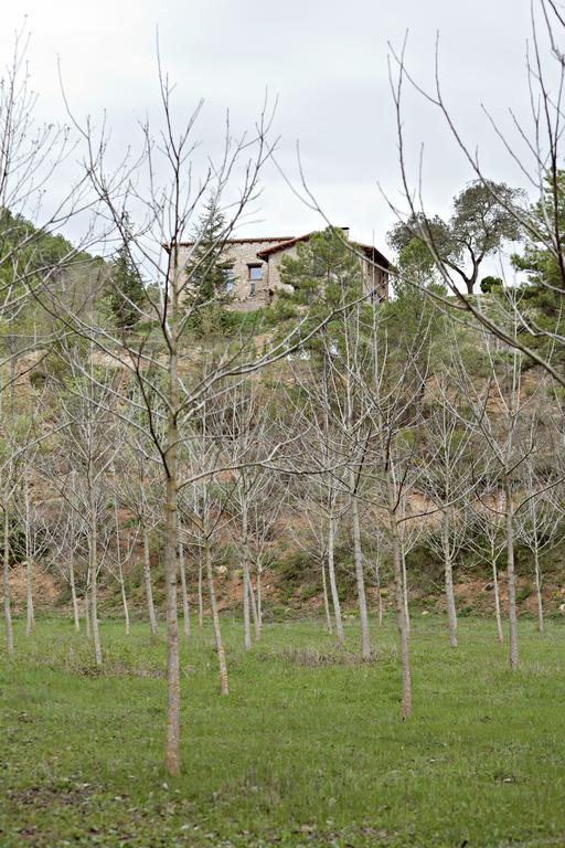 Masia Ca L'Anima Hotel La Baronia de Rialb Exterior foto