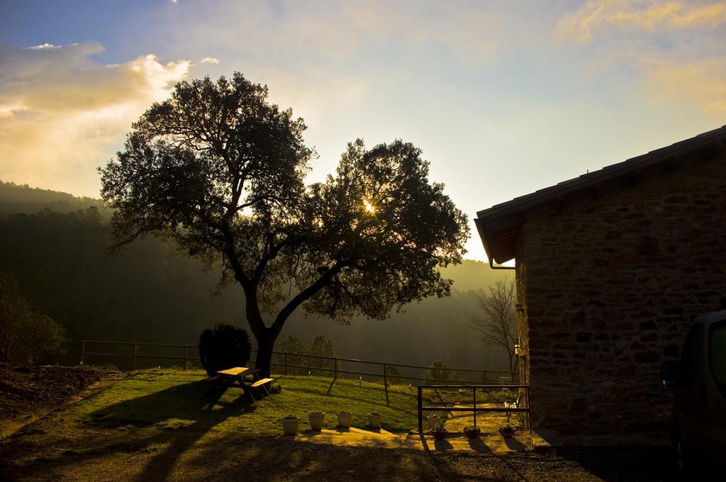 Masia Ca L'Anima Hotel La Baronia de Rialb Habitación foto