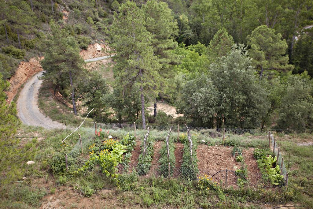 Masia Ca L'Anima Hotel La Baronia de Rialb Habitación foto
