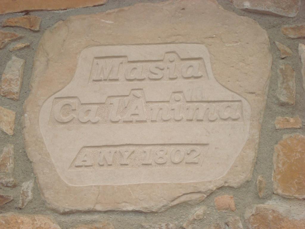 Masia Ca L'Anima Hotel La Baronia de Rialb Habitación foto
